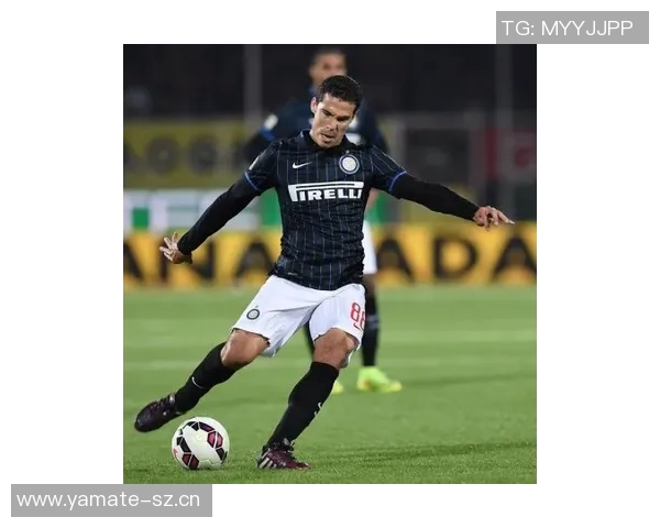 埃尔纳内斯:国米展现意大利足球之巅的实力与风采 埃尔纳内斯:国米展现意大利足球之巅的实力与风采